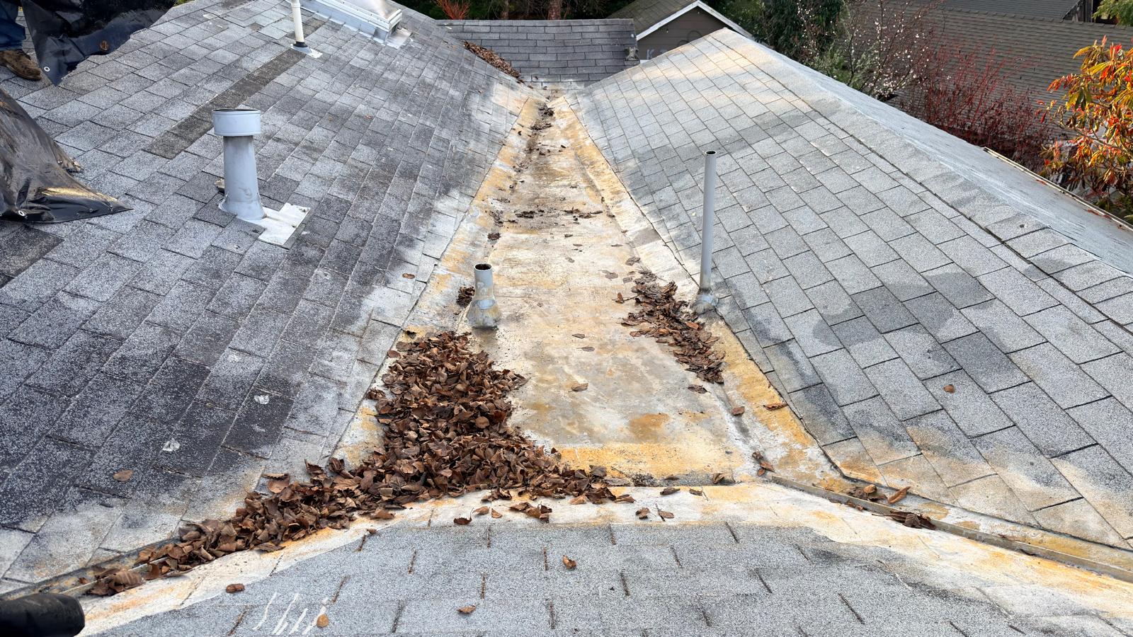 WhatsApp Image 2026-02-17 at 23.37.09 (1)