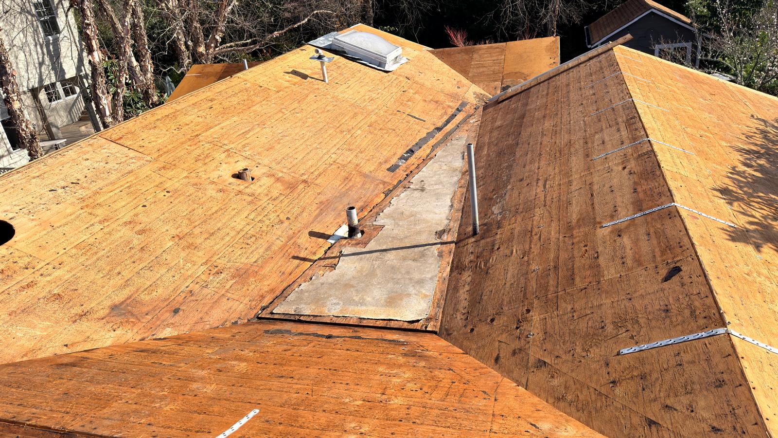 WhatsApp Image 2026-02-17 at 23.37.09 (2)