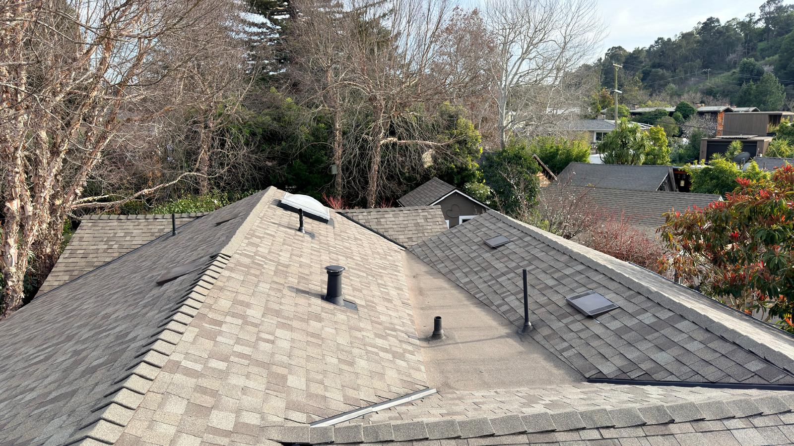 WhatsApp Image 2026-02-17 at 23.37.09 (3)