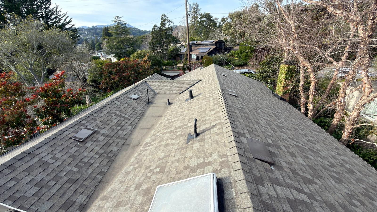 WhatsApp Image 2026-02-17 at 23.37.09 (4)