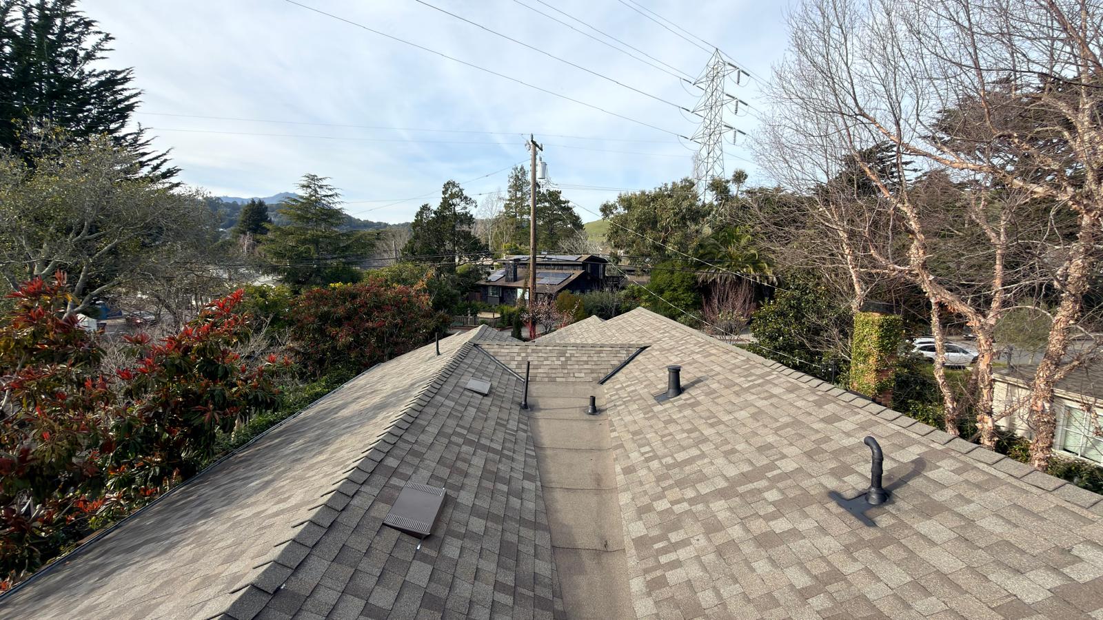 WhatsApp Image 2026-02-17 at 23.37.09