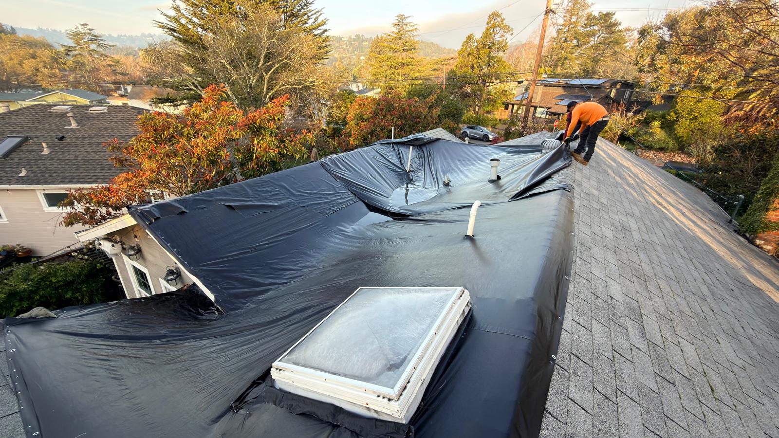 WhatsApp Image 2026-02-17 at 23.37.09