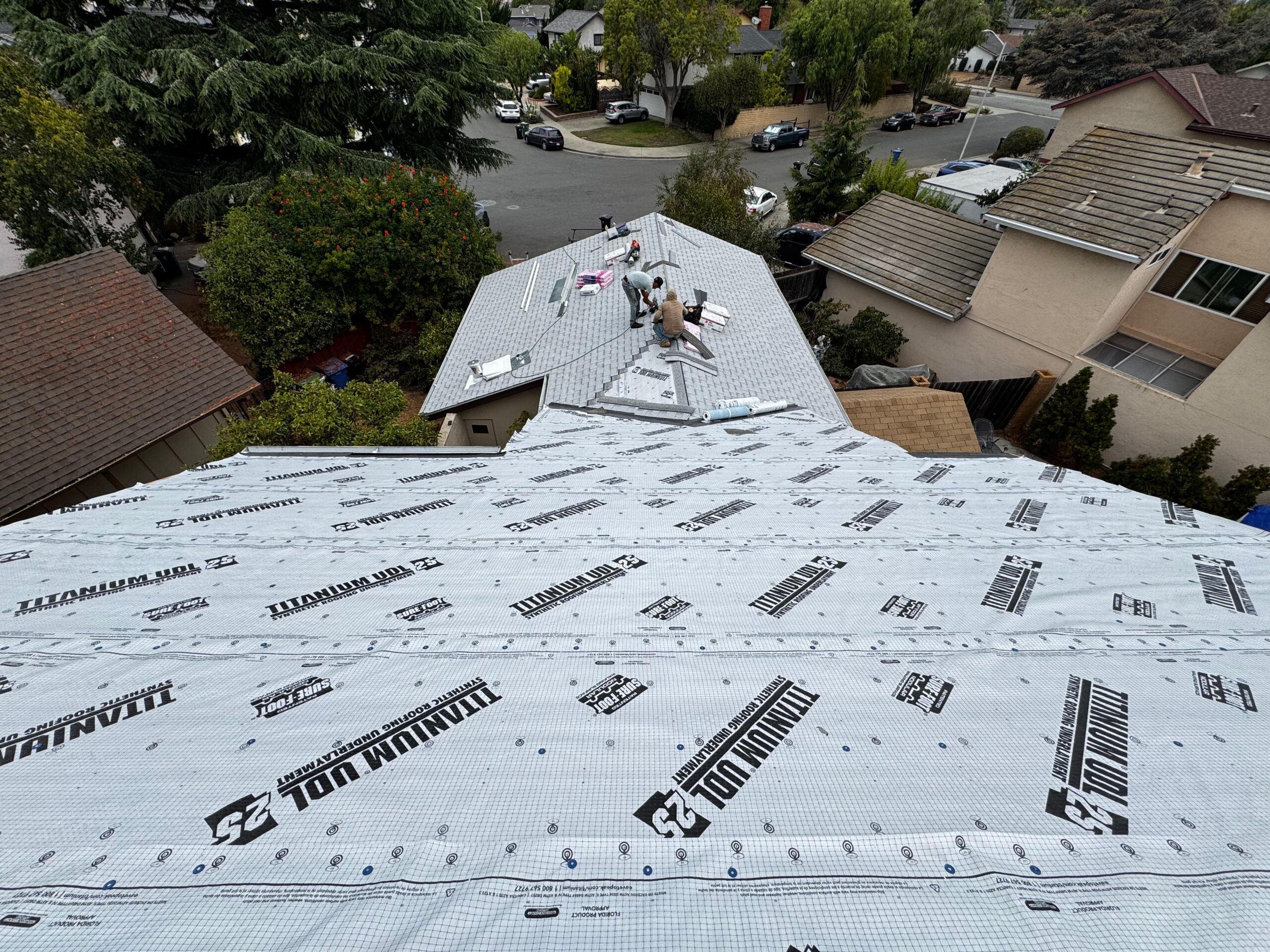 WhatsApp Image 2026-02-17 at 23.40.03