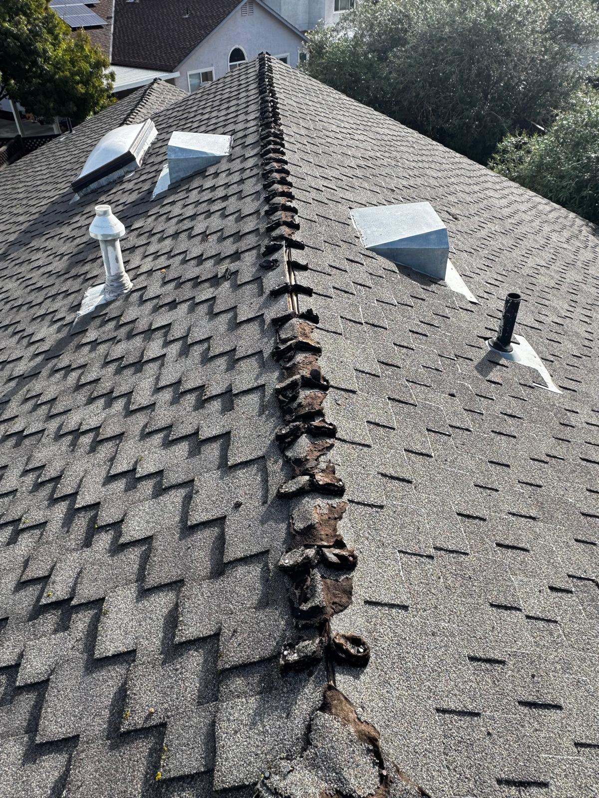 WhatsApp Image 2026-02-17 at 23.48.34