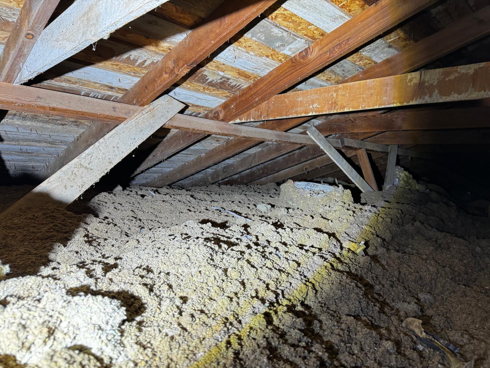 WhatsApp Image 2026-02-17 at 23.53.57 (1)