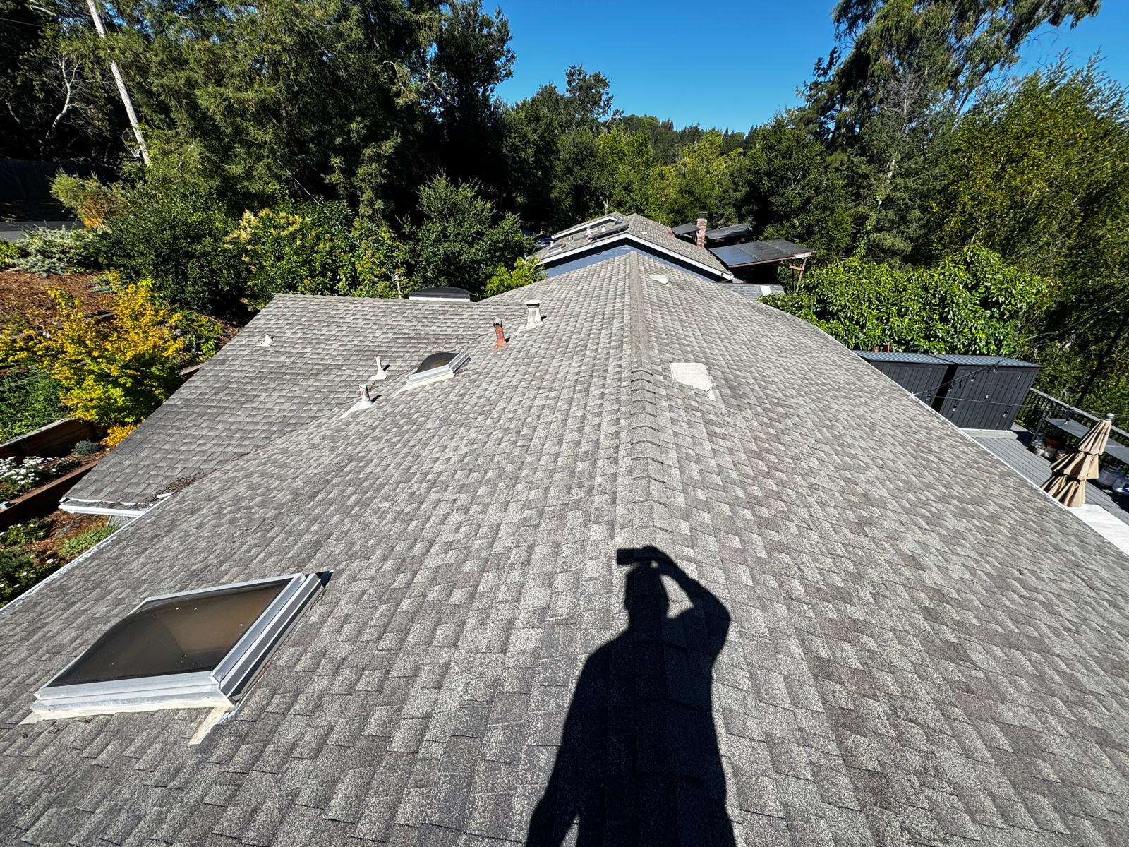 WhatsApp Image 2026-02-17 at 23.53.57