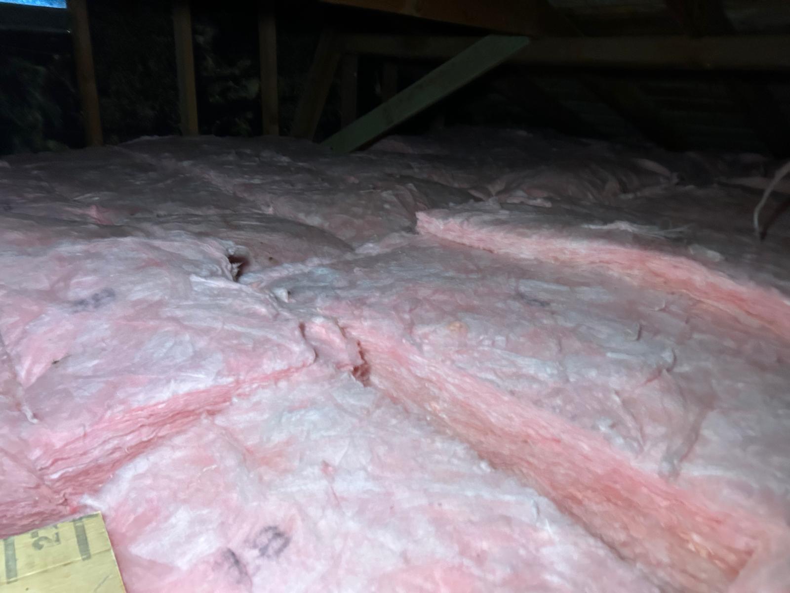 WhatsApp Image 2026-02-17 at 23.53.58 (2)