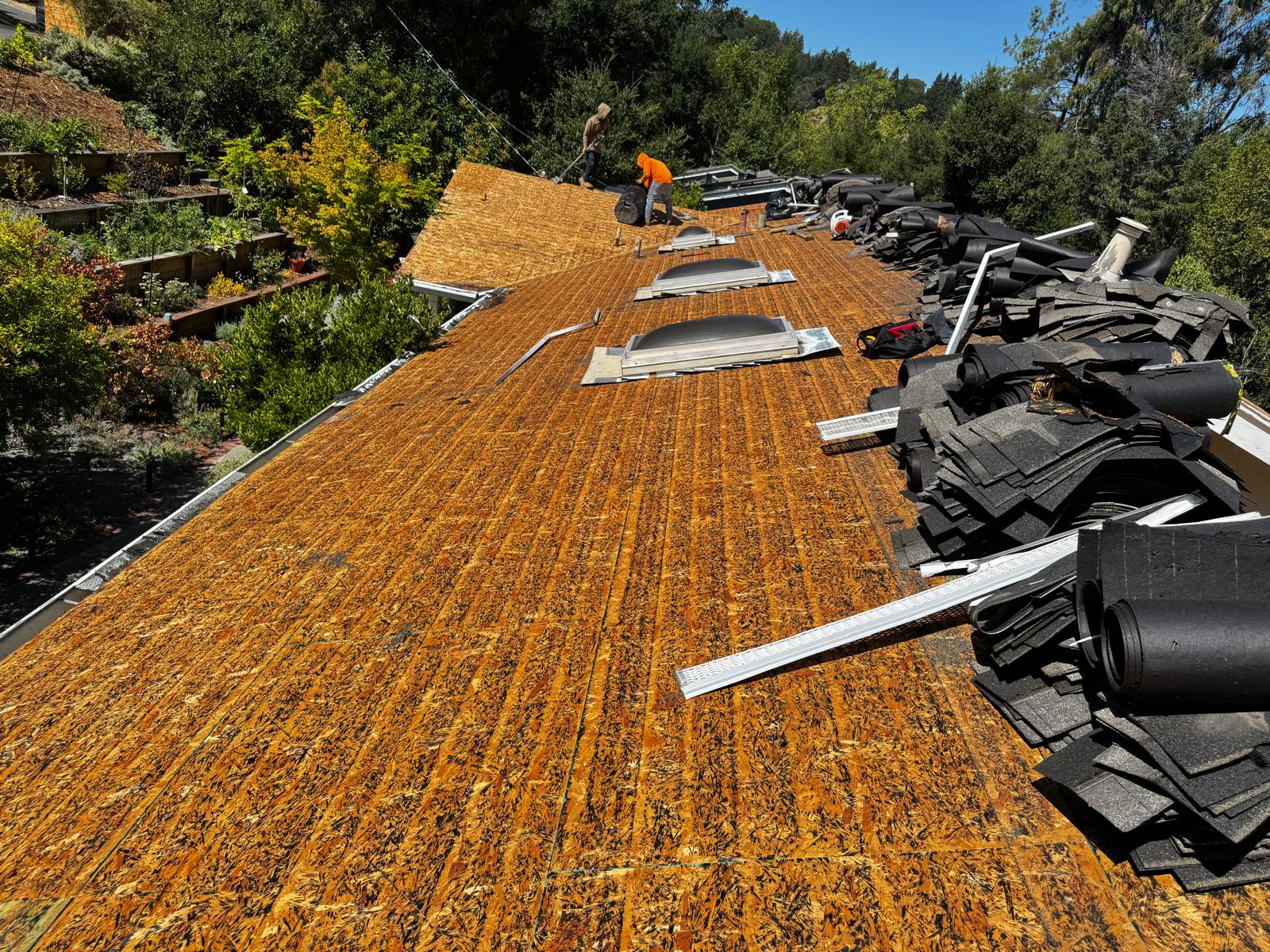 WhatsApp Image 2026-02-17 at 23.53.58