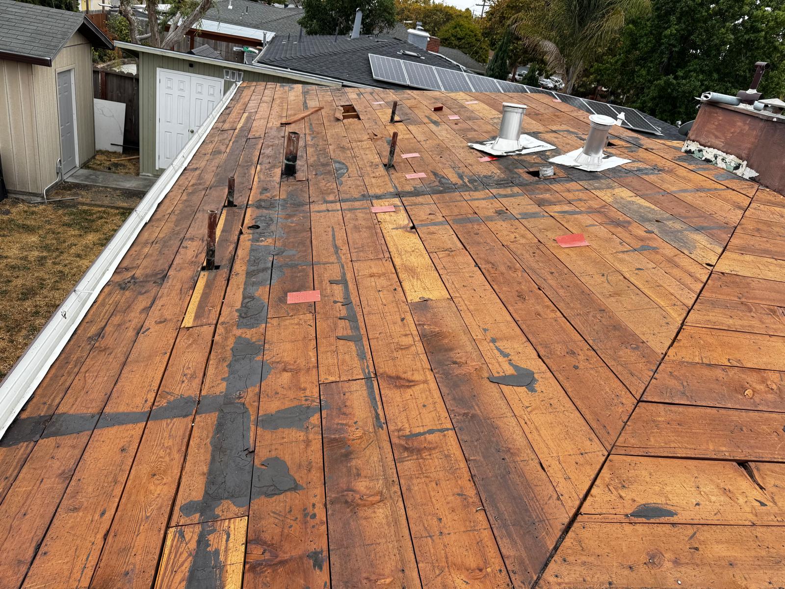 WhatsApp Image 2026-02-17 at 23.56.20 (1)