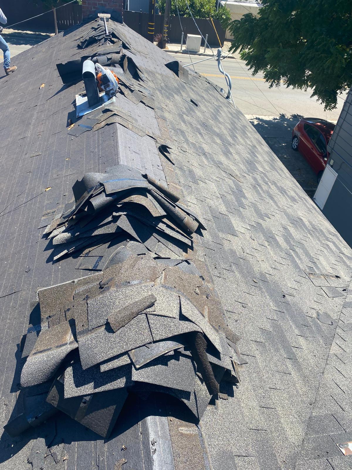 WhatsApp Image 2026-02-17 at 23.57.31 (1)