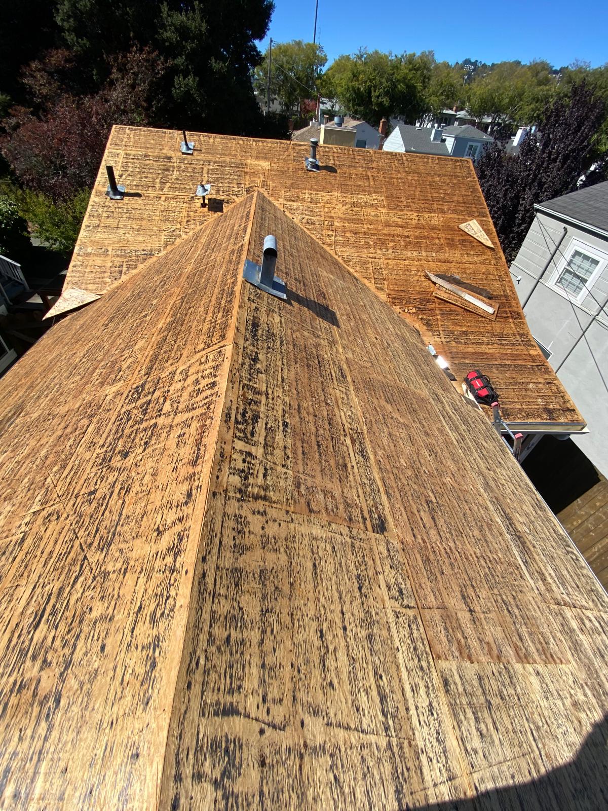 WhatsApp Image 2026-02-17 at 23.57.32 (4)