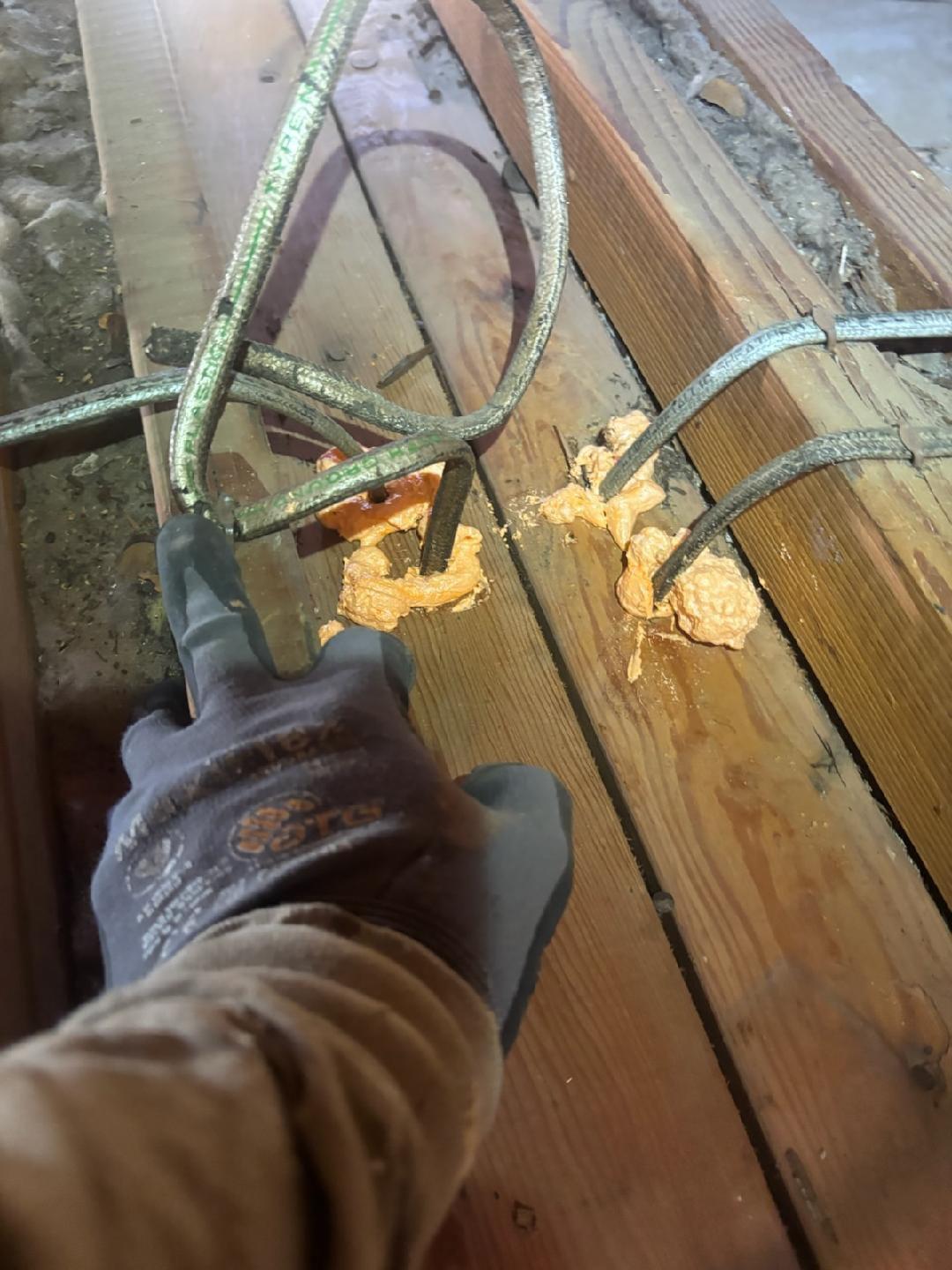 WhatsApp Image 2026-02-18 at 00.05.22 (3)