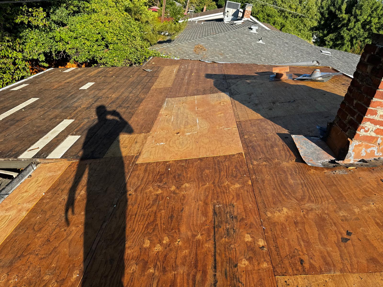 WhatsApp Image 2026-02-18 at 00.05.22 (5)