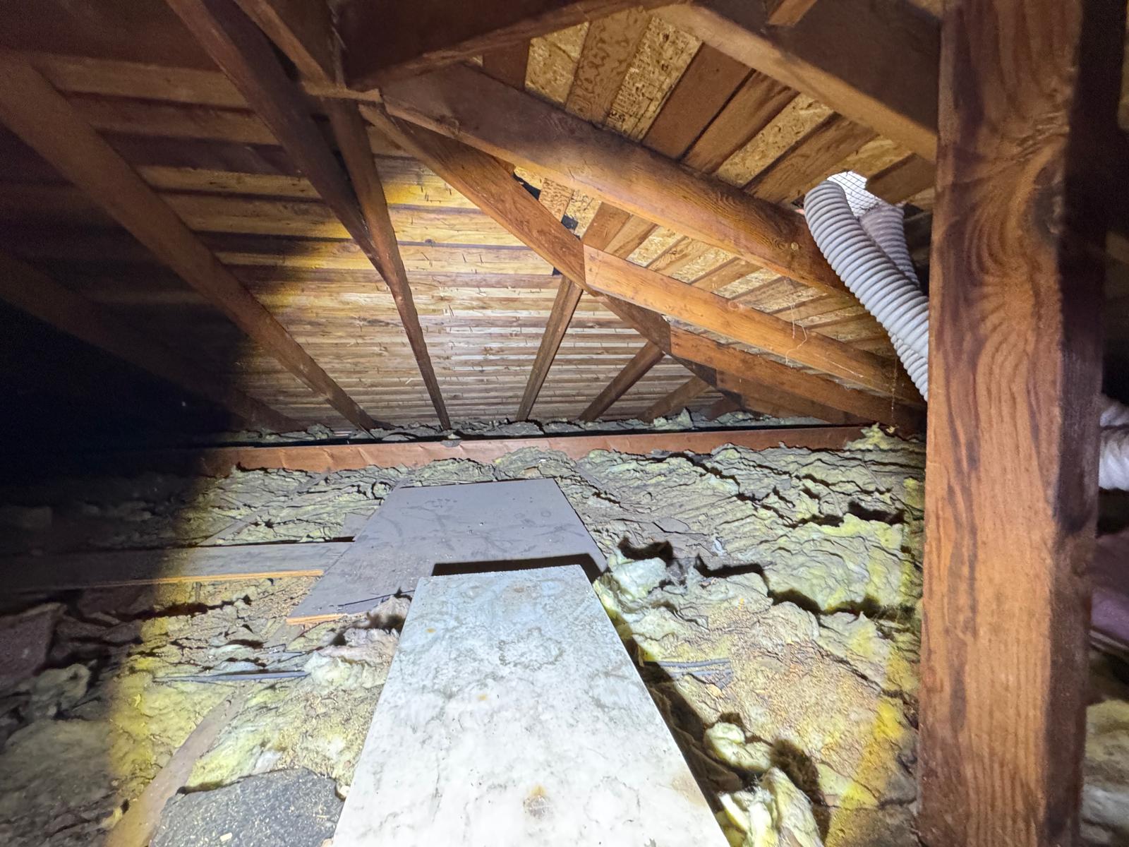 WhatsApp Image 2026-02-18 at 00.05.22