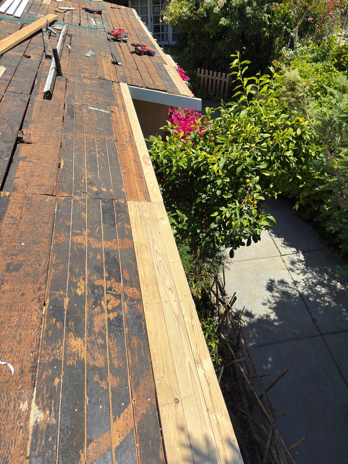 WhatsApp Image 2026-02-18 at 00.10.27 (1)