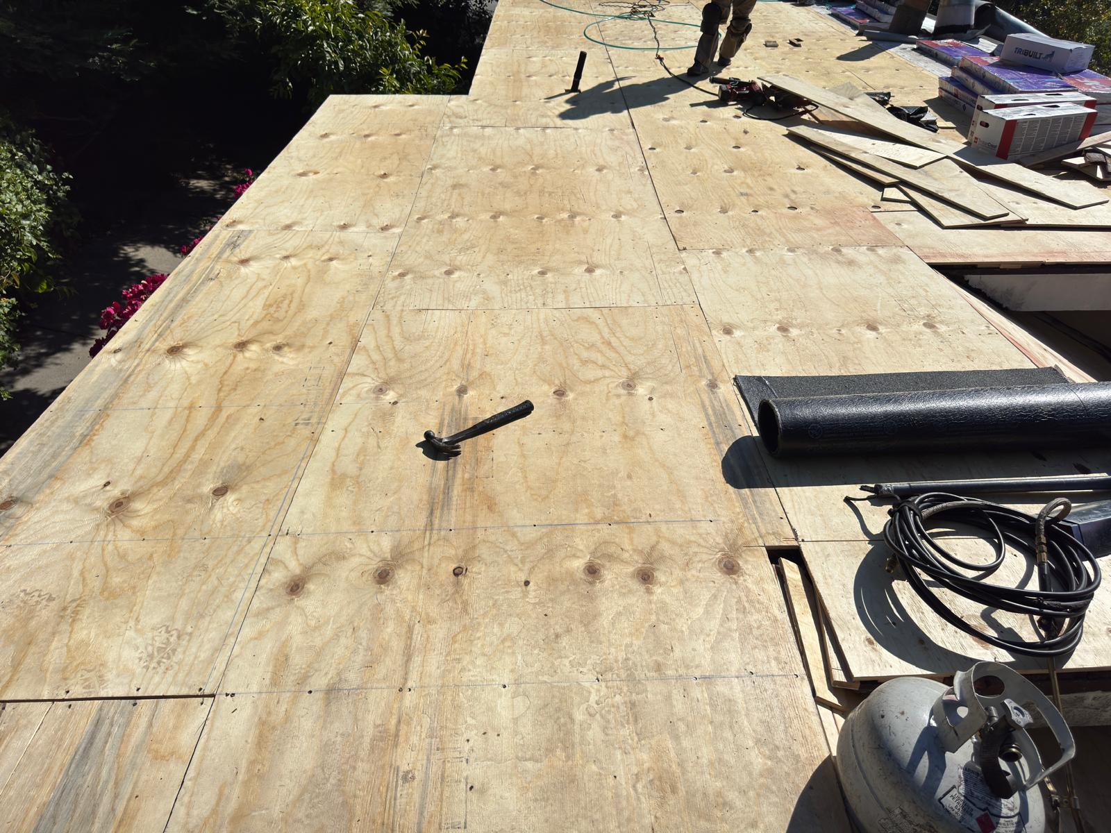 WhatsApp Image 2026-02-18 at 00.10.27 (2)