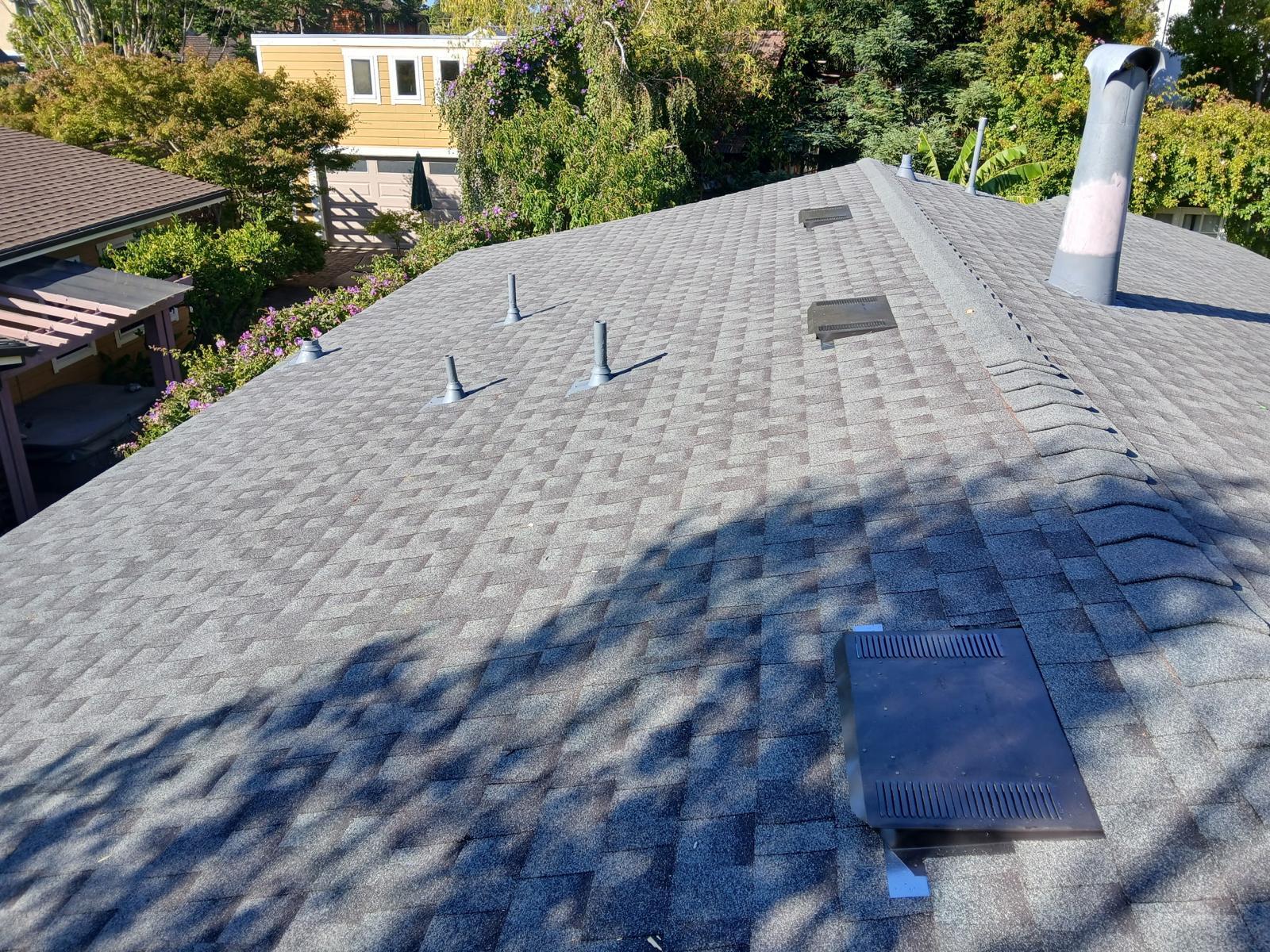 WhatsApp Image 2026-02-18 at 00.10.27 (3)