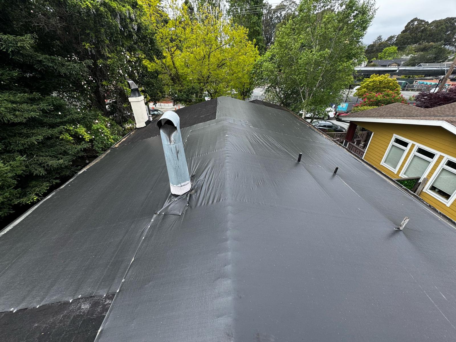 WhatsApp Image 2026-02-18 at 00.10.27