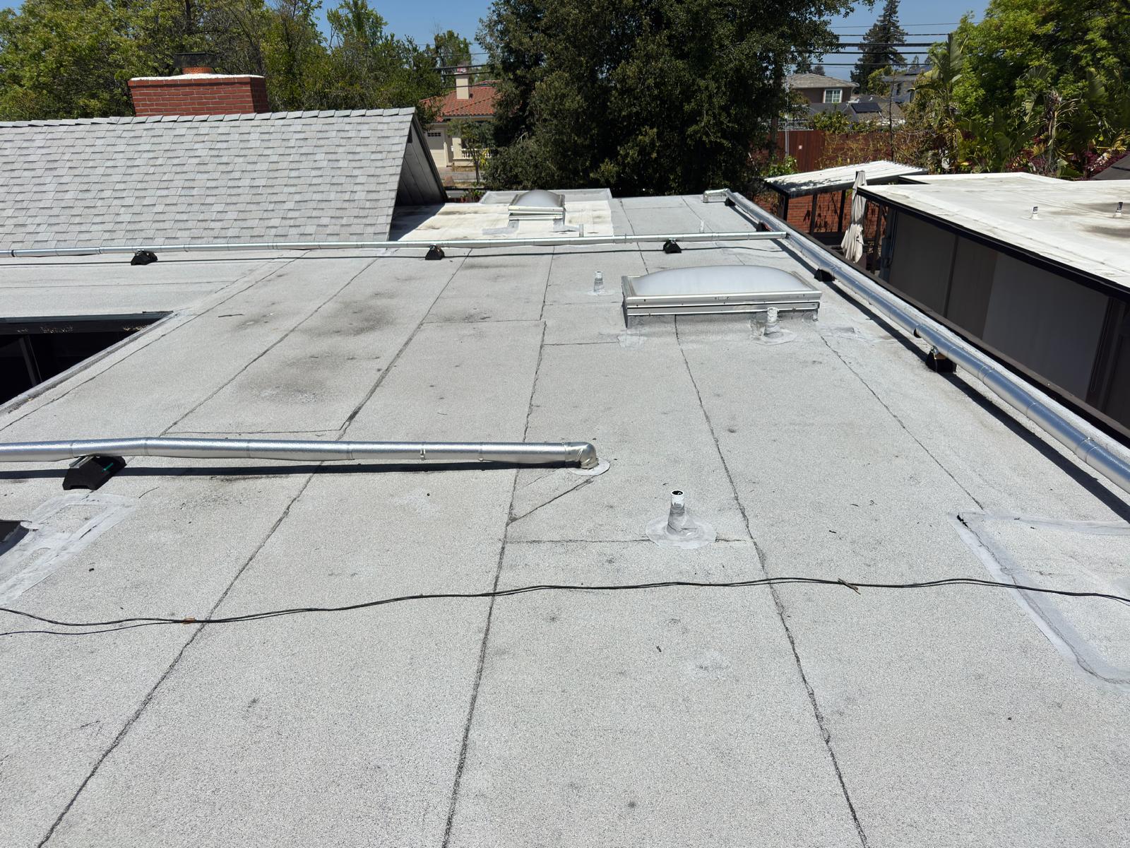 WhatsApp Image 2026-02-18 at 00.12.24 (1)