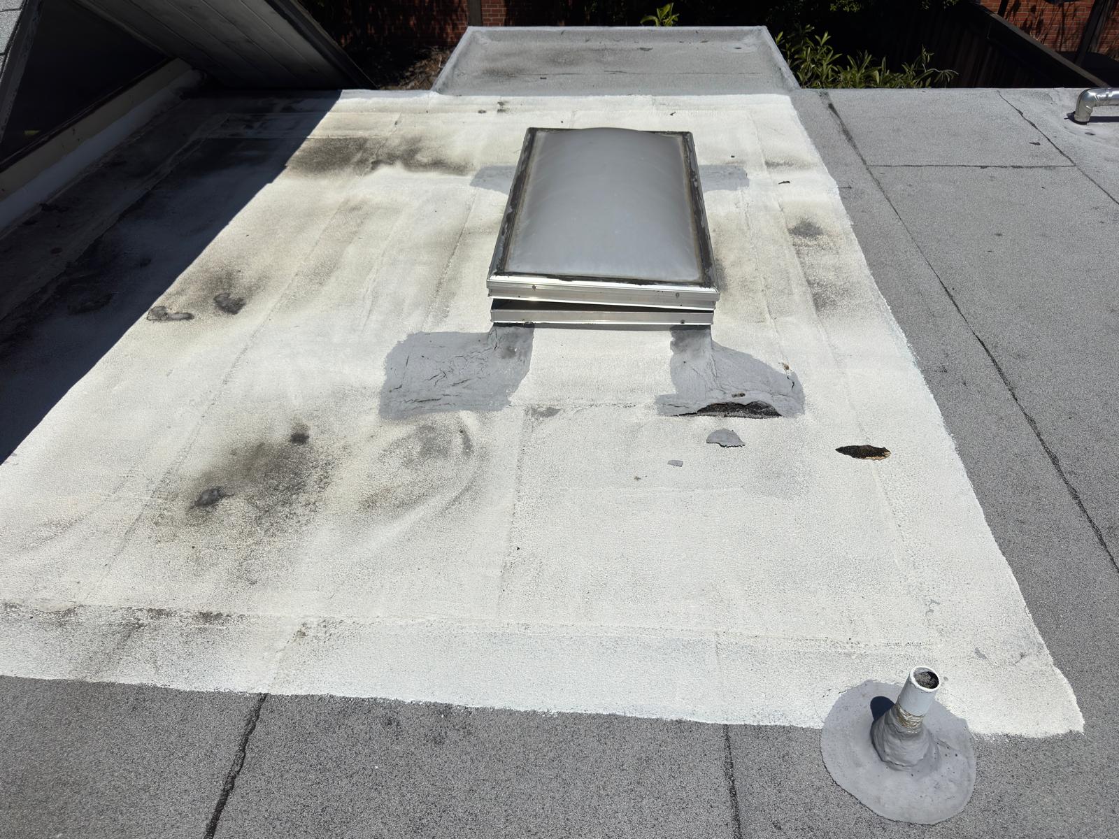 WhatsApp Image 2026-02-18 at 00.12.24