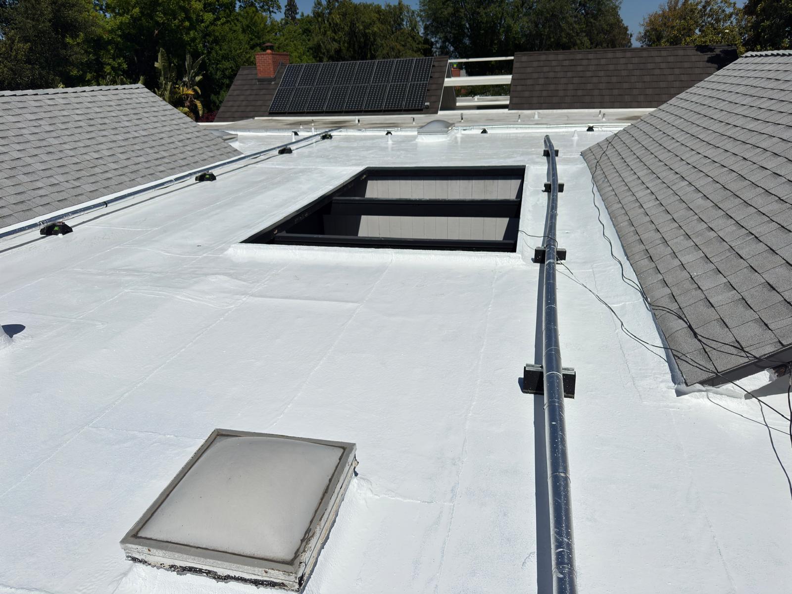 WhatsApp Image 2026-02-18 at 00.12.25 (1)