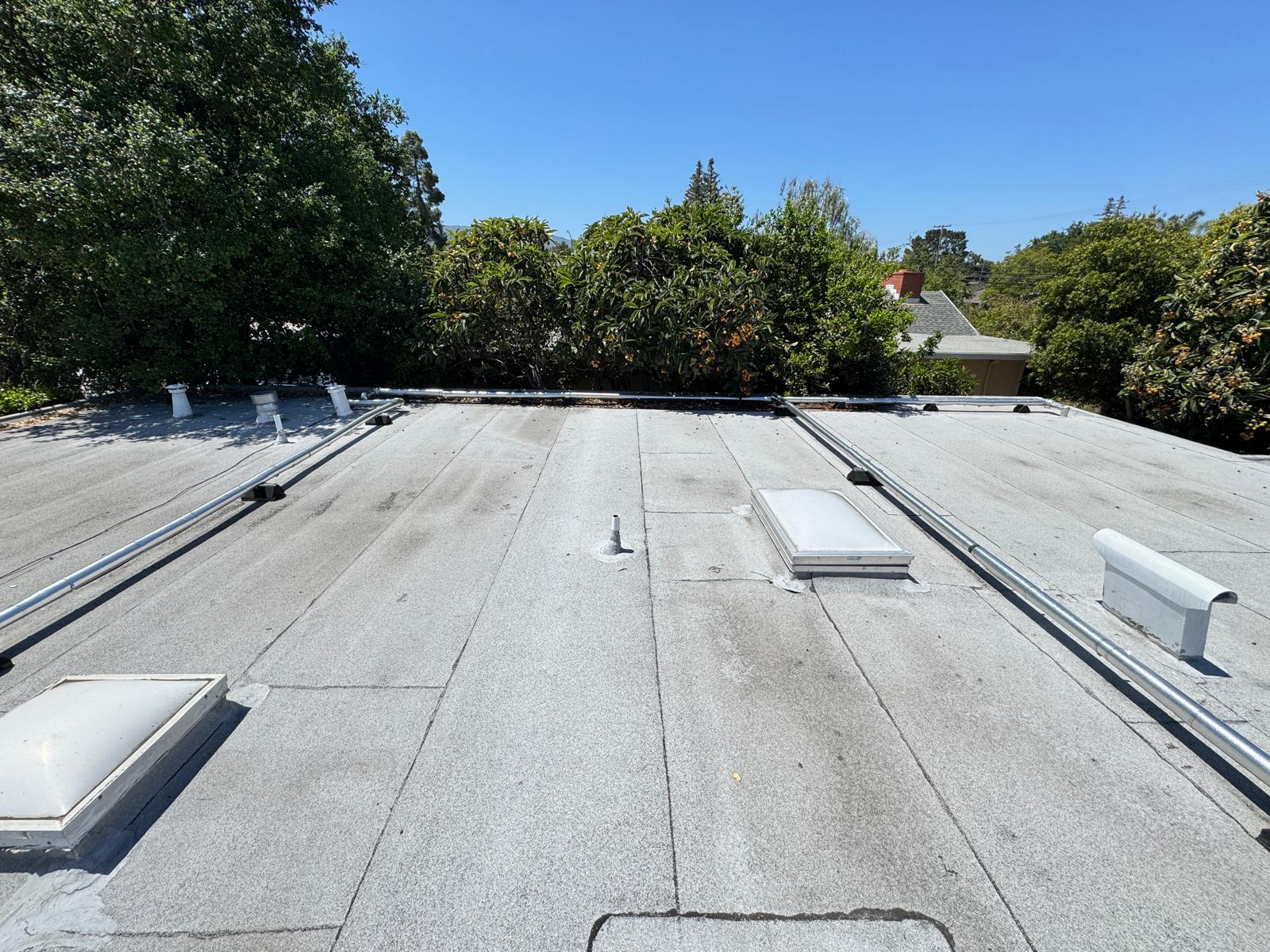 WhatsApp Image 2026-02-18 at 00.12.25 (3)