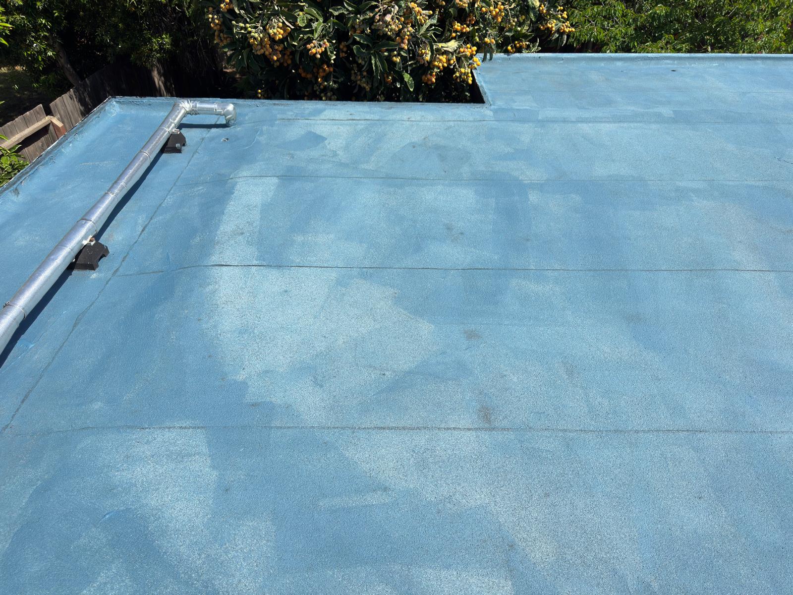 WhatsApp Image 2026-02-18 at 00.12.25