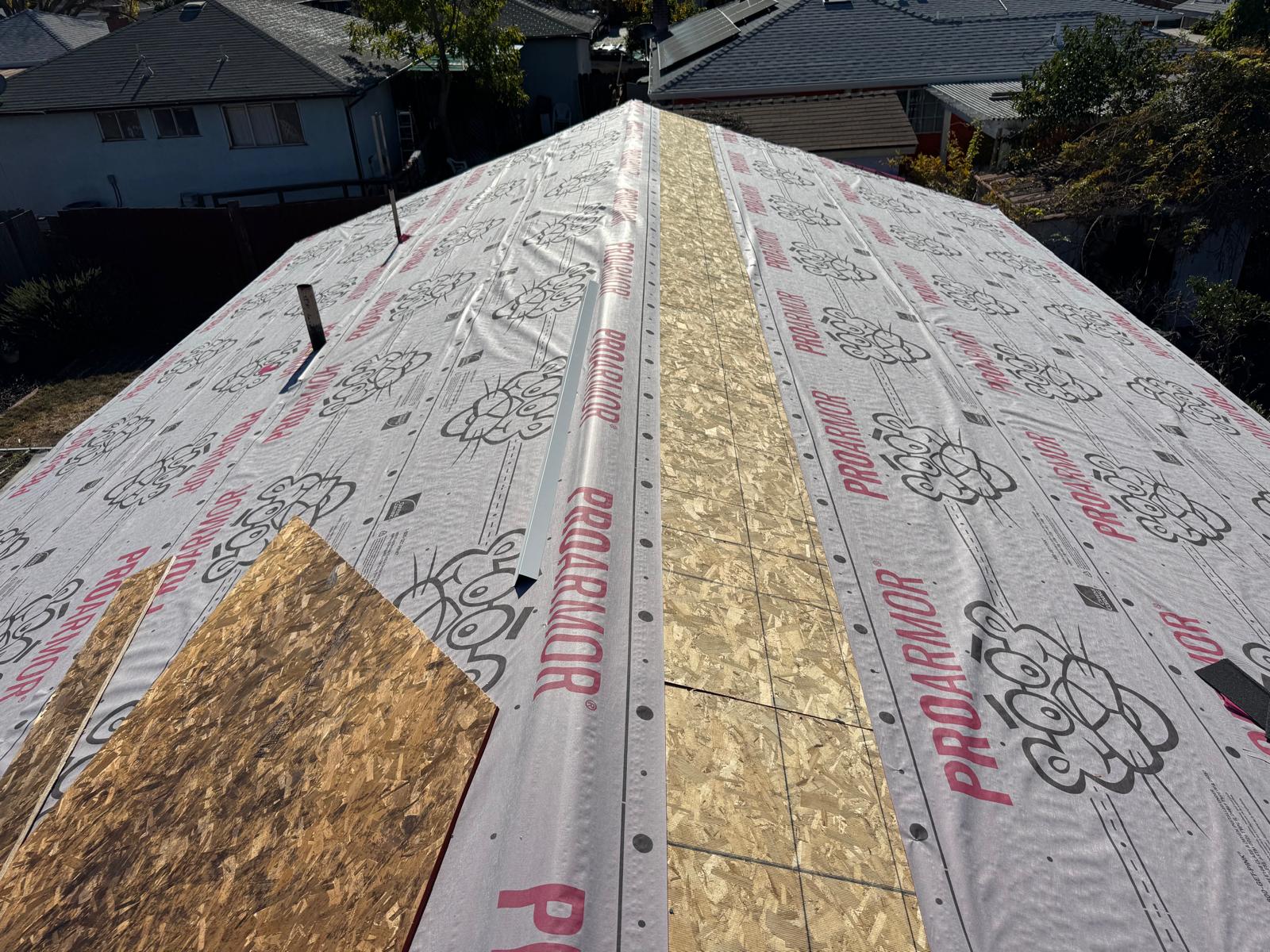 WhatsApp Image 2026-02-18 at 00.13.59 (3)