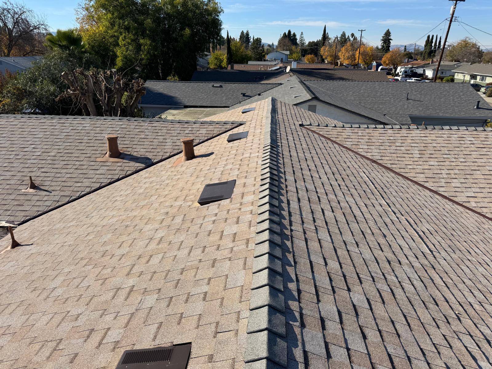 WhatsApp Image 2026-02-18 at 00.13.59 (8)