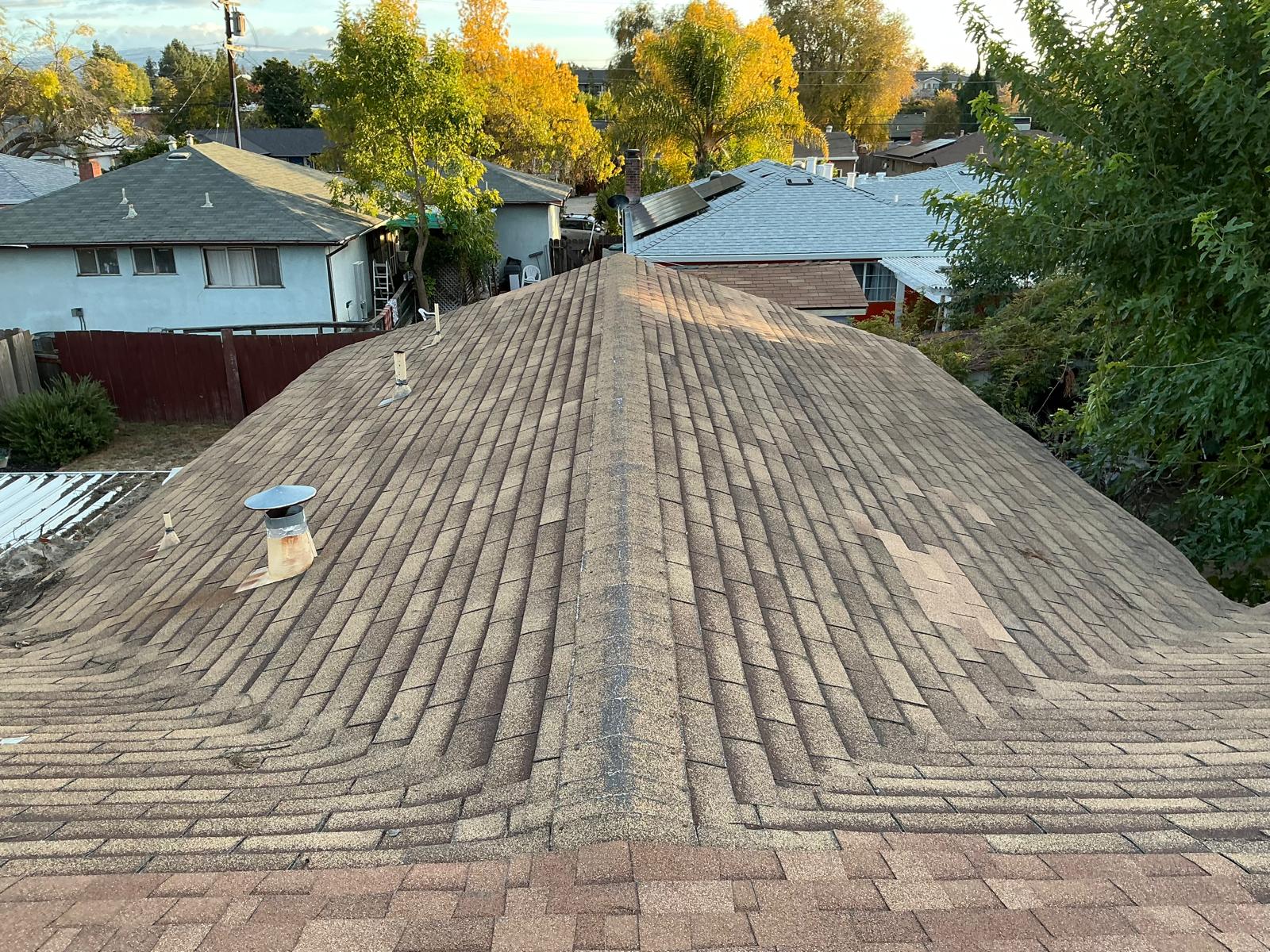 WhatsApp Image 2026-02-18 at 00.13.59