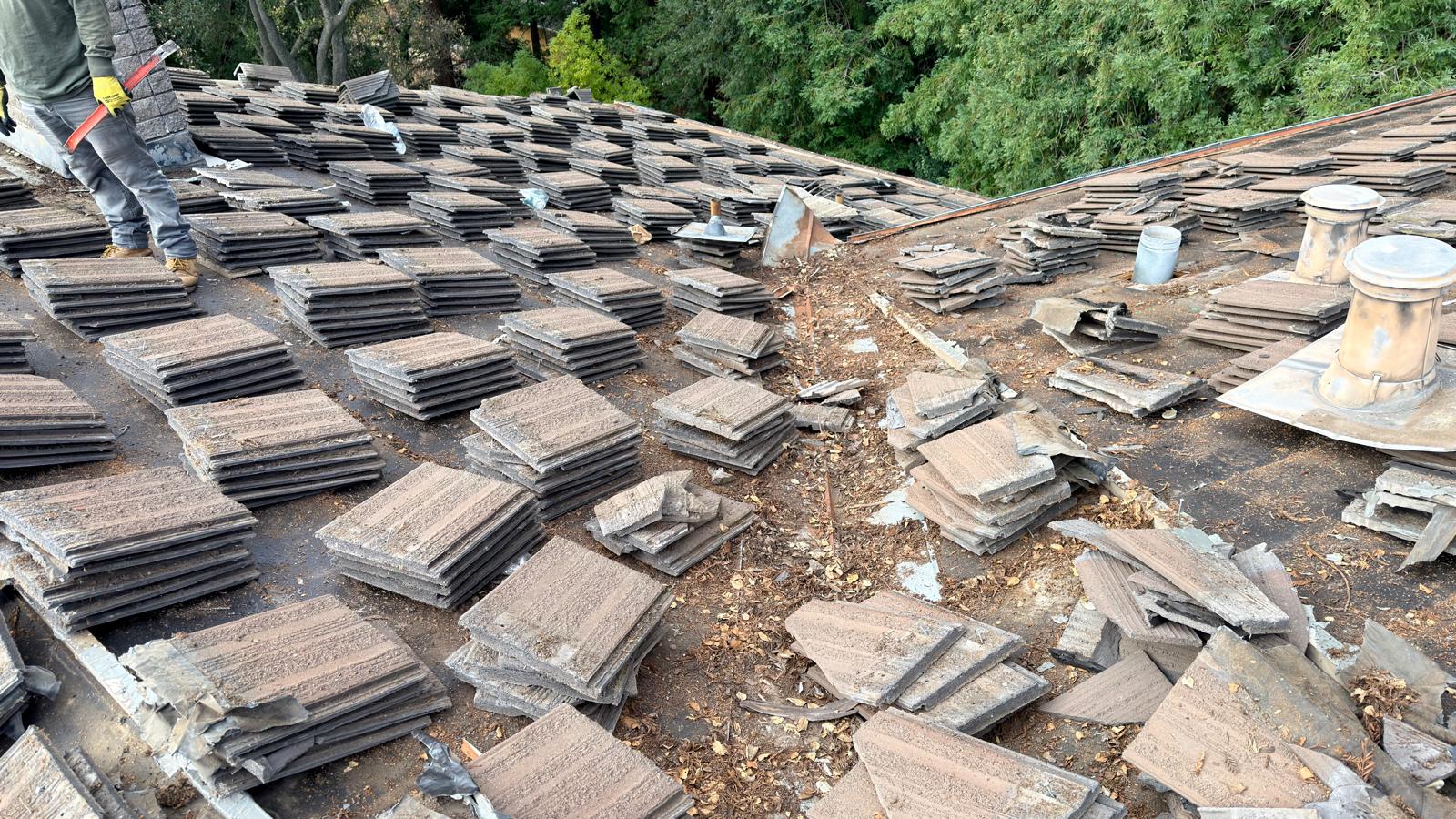 WhatsApp Image 2026-02-18 at 00.25.29 (1)